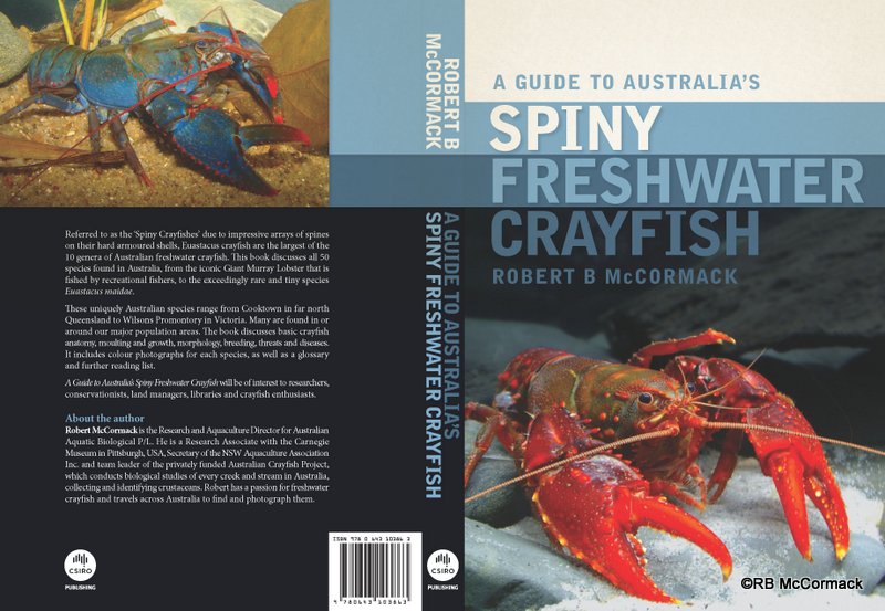 Spiny-Crayfish-cover.jpg