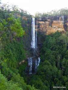 Fitzroy Falls, NSW