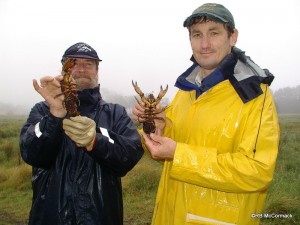 Rob McCormack (left) and Justin Stanger (right) with berried female Euastacus dharawalus