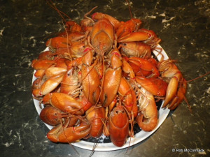 Cooked Yabbies