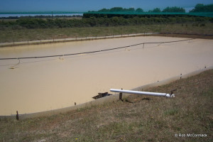 A CSIRO yabby aquaculture pond