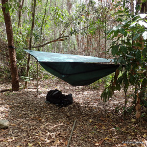 Base camp, hiking hammocks between trees