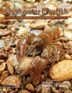 Freshwater Crayfish 21(1)